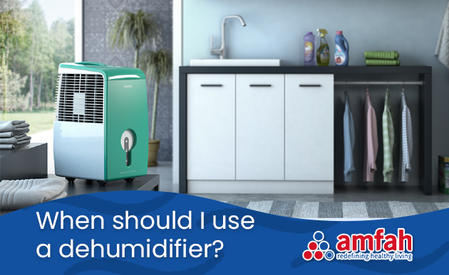 When should I use a dehumidifier?
