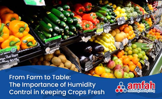 From Farm to Table: The Importance of Humidity Control in Keeping Crops Fresh
