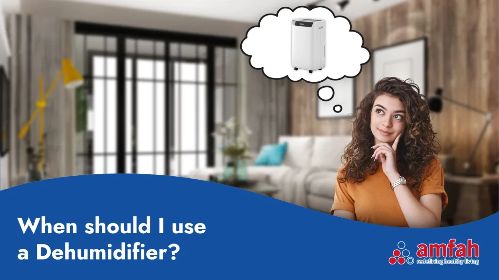 When should I use a dehumidifier?